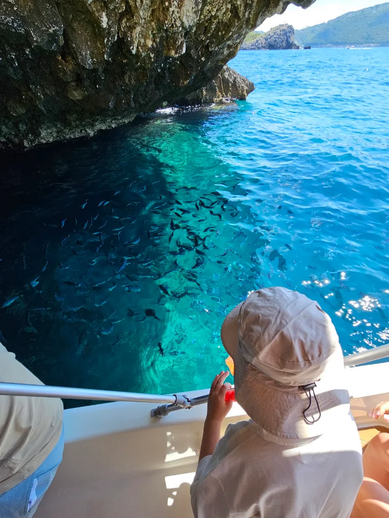 Passengers aboard a boat looking down at a shoal of fish in clear water beside a rock overhang.
